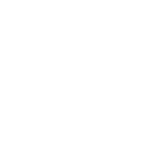 Tshirt – Icon