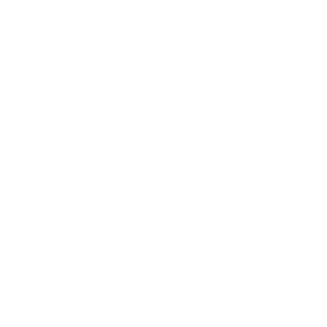 Erfolg – Icon