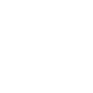Lieferung – Icon
